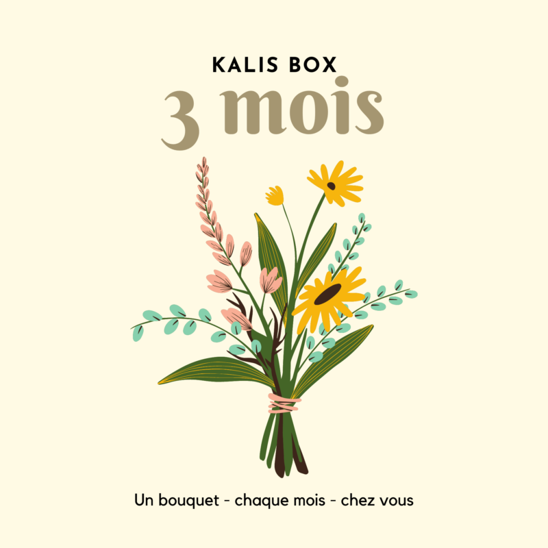 Kalis Box - 3 mois