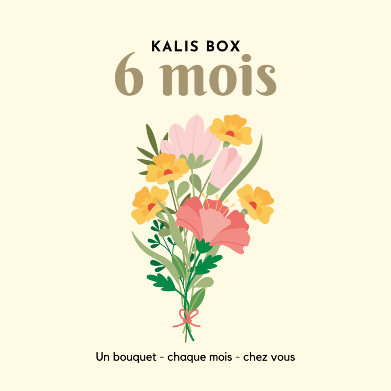 Kalis Box - 6 mois