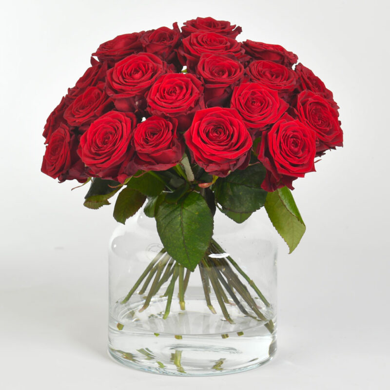 Bouquet de roses rouges
