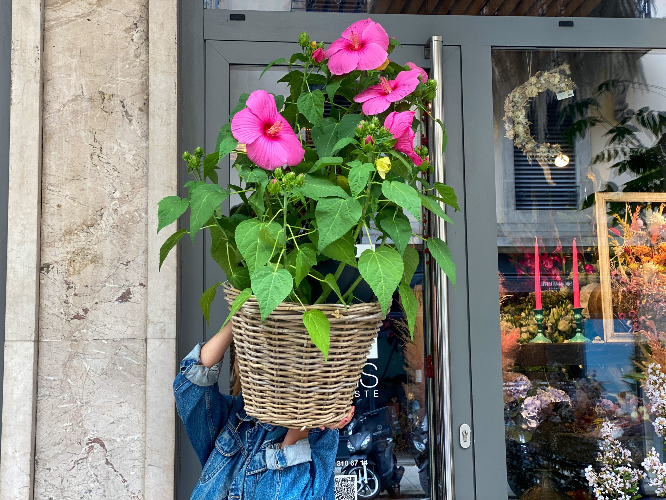 L&rsquo;Hibiscus : Guide pratique pour en prendre soin