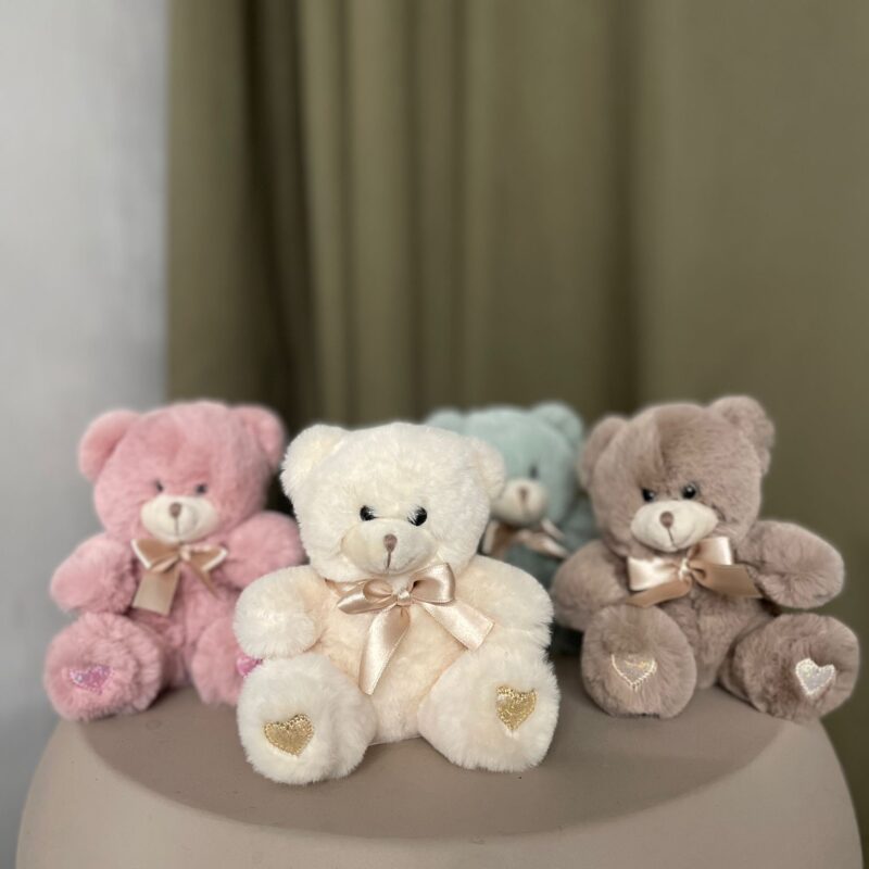 Ours en peluche