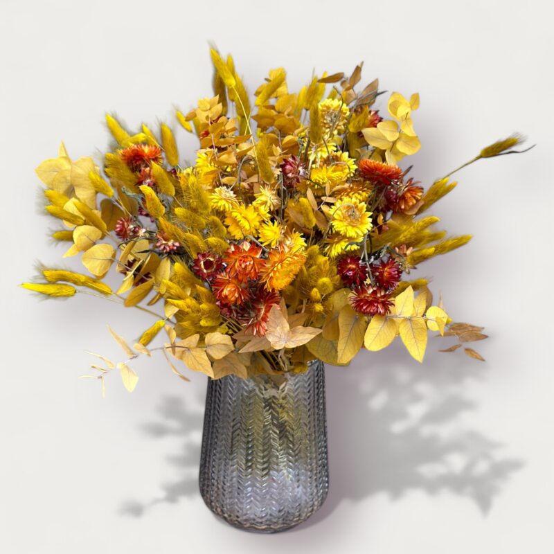 Soleil d'Automne
